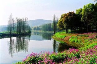 國(guó)慶個(gè)別景區(qū)門票明降暗升 進(jìn)景區(qū)后每項(xiàng)都單收費(fèi)