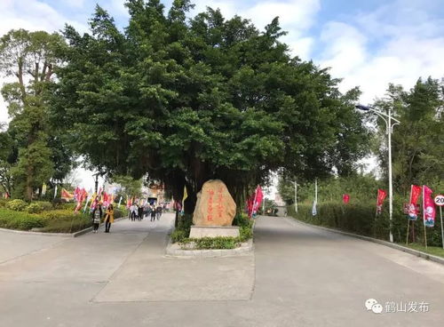 鶴馬 本周六開走 最美賽道提前睇 記得帶上這份攻略...