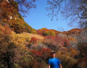 2019平山駝梁風景區游玩全攻略 門票價格、游覽路線、地址與服務詳解